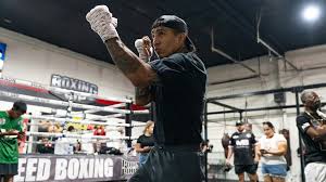 World Boxing Council - News update