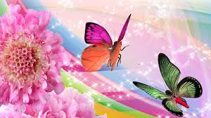 Image result for animated butterflies wallpaper
