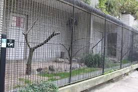 Image result for hawk aviary