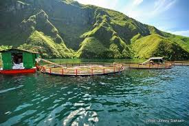 Hasil gambar untuk Baluran jawa timur