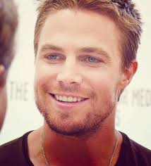 Image result for Stephen Amell