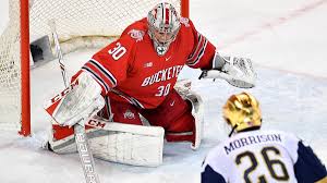 Former Ohio State hockey star dead at 31 after suffering stroke - Fox News