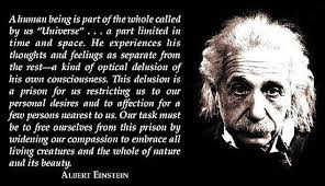 Einstein Quotes On Government. QuotesGram via Relatably.com