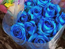 Image result for karangan bunga mawar biru