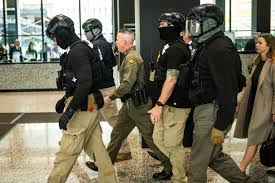 Judge Admonishes Border Patrol Chief Gregory Bovino Over Excessive Force