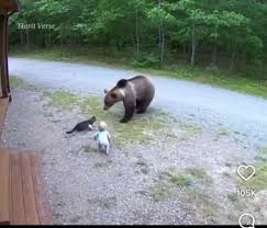 T&ocirc;i sẽ kh&ocirc;ng bao giờ tin điều n&agrave;y nếu kh&ocirc;ng tận mắt chứng ...