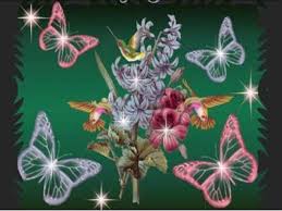 Image result for animated butterflies wallpaper