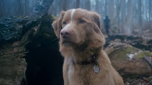 IndieWire - News update