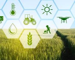 Image of Agricultural entrepreneurship