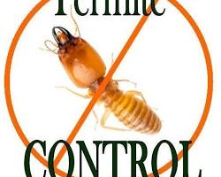 Termite Pest Control