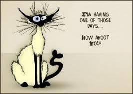 Bad Day Humor on Pinterest | Retail Humor, Minions Funny Quotes ... via Relatably.com