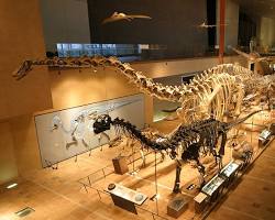 family looking at a diorama of animals in their natural habitat at the Kitakyushu Museum of Natural History and Human History.の画像