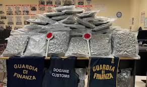 Civitavecchia, sequestrati 79 chili di marijuana al porto: arrestato autotrasportatore