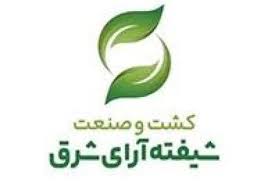 رشد 77 درصدی سود خالص «شیفته» در سال مالی1404
