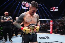 SINDOnews Sports - News update