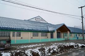 Diario El Cordillerano - News update