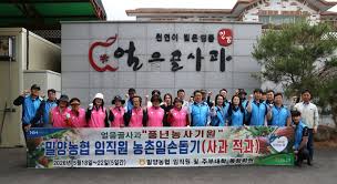 마늘 아이콘