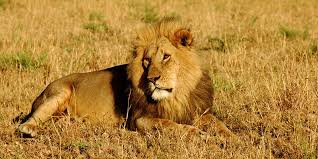 Image result for come on we will jointly kill the time