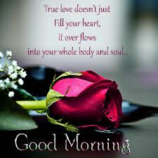 Image result for true love wallpaper