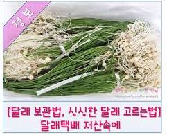 달래네 이미지