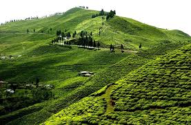 Image result for ilam