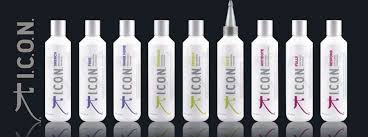 Resultado de imagen de icon products