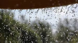 Monsoon Fury: Heavy Rain Forecasts Grip Himachal and Haryana as Weather Agencies Issue Alerts