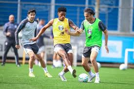 Luís Castro inicia avaliações para implementar mudanças no Grêmio
