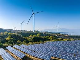 Waaree Energies to NTPC Green: How are renewable energy stocks performing in 2025?