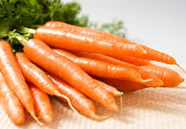 蘿蔔屬類蔬菜的圖片搜尋結果