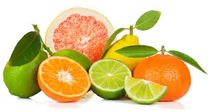 Image result for Pictures of citrus fruit