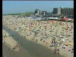 Image result for the hague