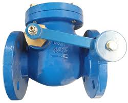 Vahn-Tech Swing Check Valve with Lever and Weight