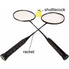 Image result for badminton