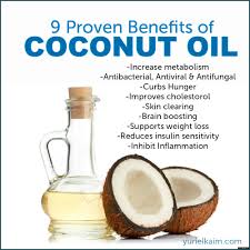 Image result for free images of coconuts and oil