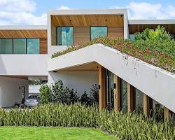 Imagen de green roof on a modern building