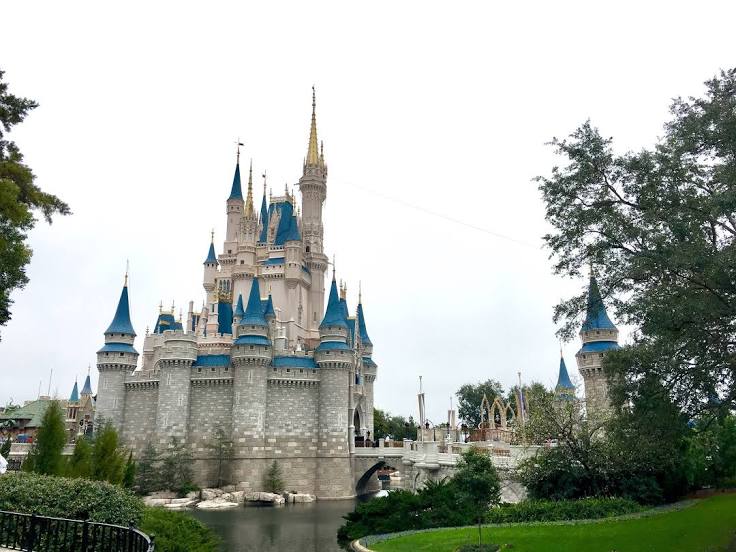 Doctor Phillips, FL Roofers
