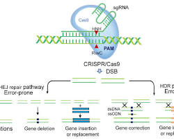 CRISPR/Cas9 gene editing invention for zoology