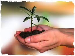 Image result for purpose