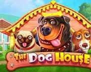 slot The Dog House