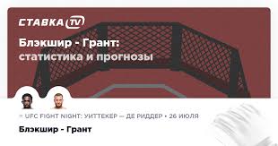 Ставка TV - News update