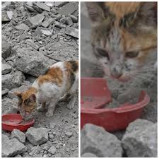 Adriana Sirbu - Adriana Sirbu added a new photo.