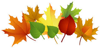 Image result for free clip art leaf