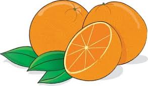 Image result for orange tree clip art