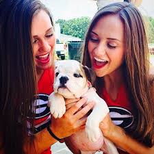 Image result for ga cheerleader