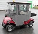 20Brand NEW EZGO RXV s - CartBarn Reno