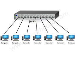 Hasil gambar untuk bridge dan switch