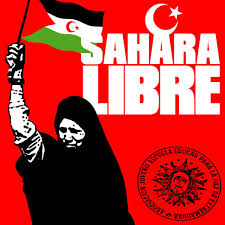 R&eacute;sultat de recherche d'images pour "SAHARA OCCIDENTAL"