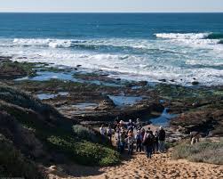 Image result for montana del oro