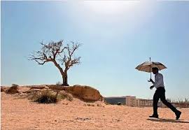 Summer arrives early as warmer season likely
